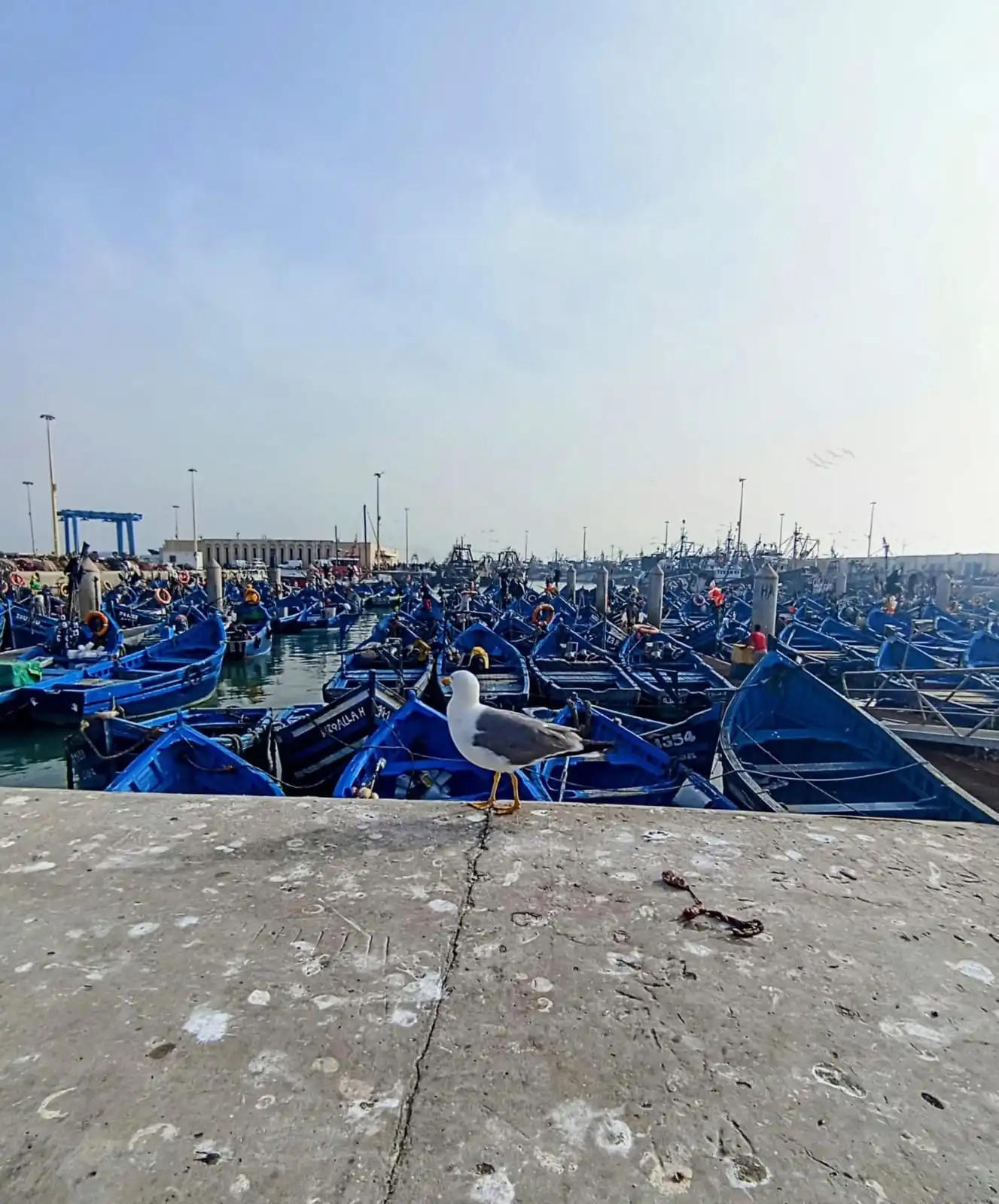 Essaouira